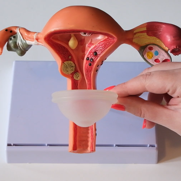 Where to place a menstrual disc.